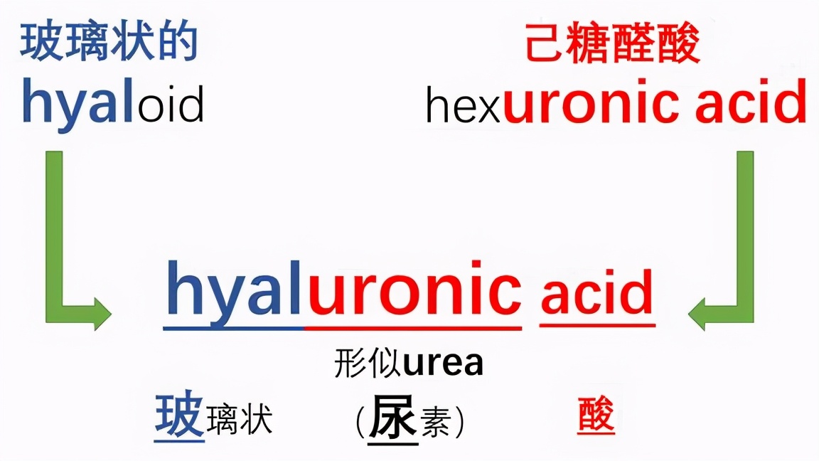 药学博士保湿化妆品,药学博士护肤品推荐