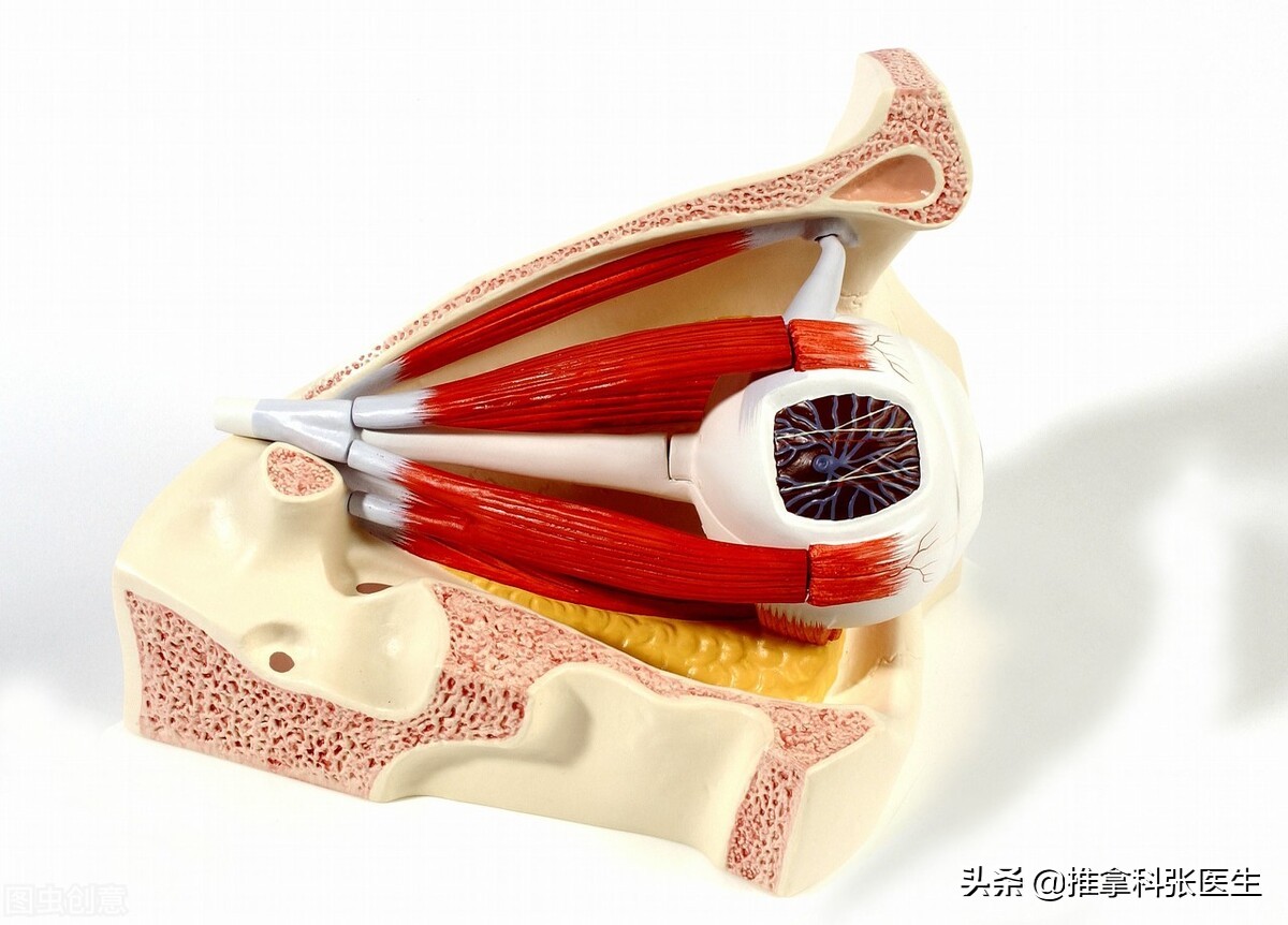 眼睛疼痛睁不开,眼睛疼痛睁不开眼睛怎么回事