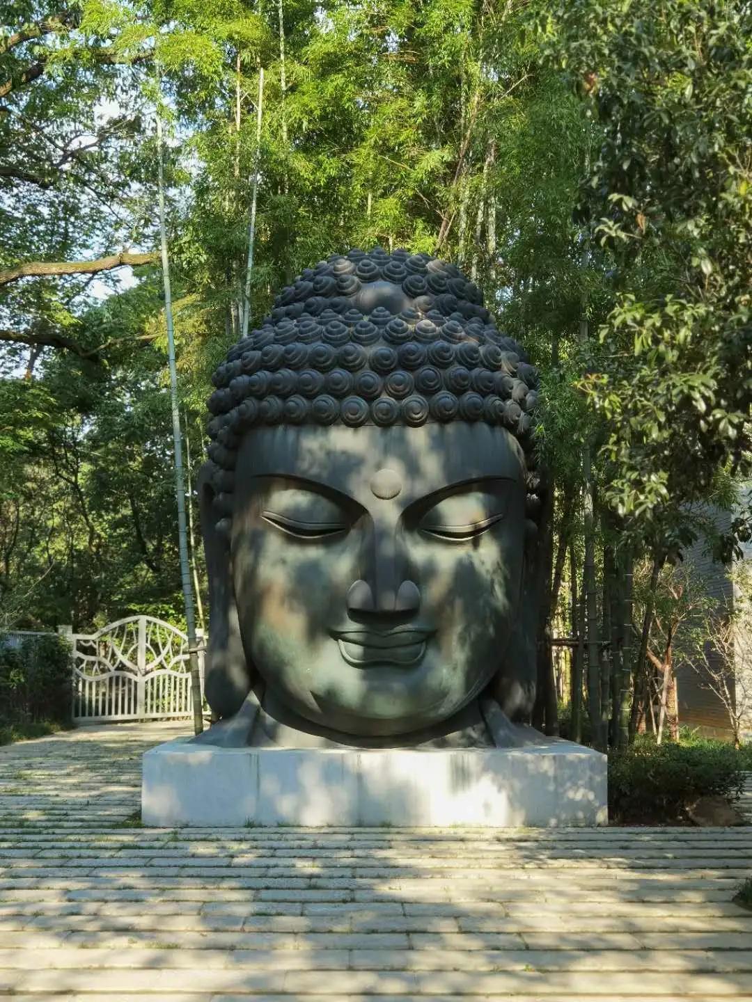 杭州西湖3天2晚自由行攻略,24小时杭州之旅