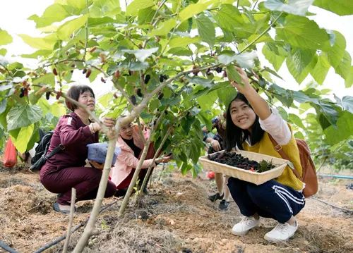 农村致富的10个门路,农村山沟适合做什么生意