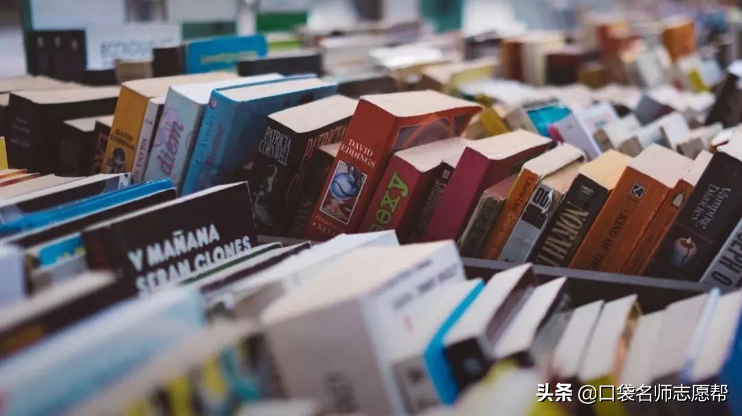 文科生研究生哪个专业有前景,文科生单招最有前景十大专业