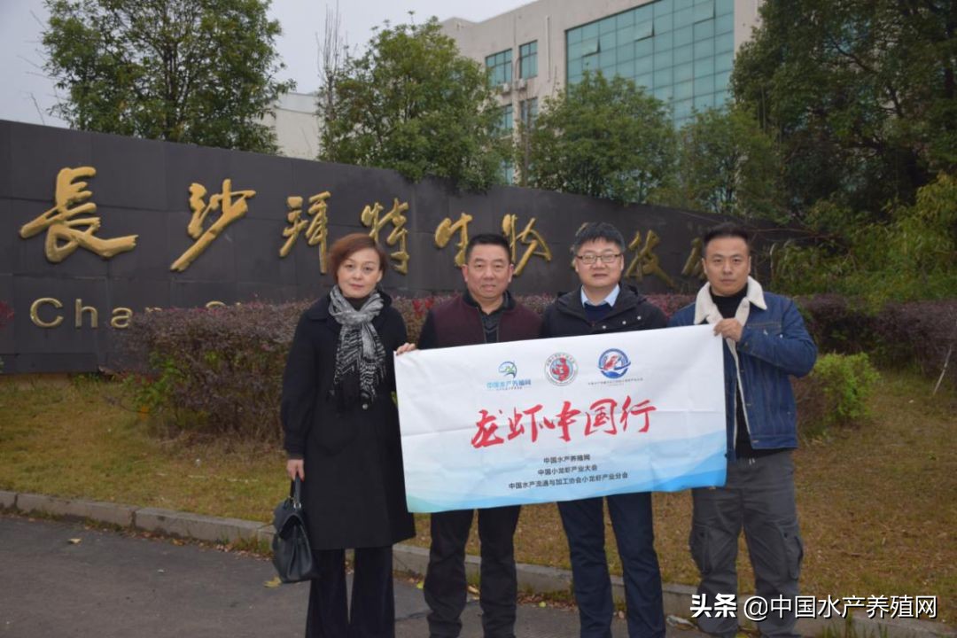 年销动保产品超2亿元，200名技术人员下沉养殖一线，看这家企业如何让产品给企业赋值，给养殖户增效