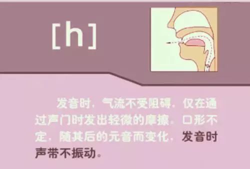 张中军音标发音48个教学视频合集,音标发音48个正确发音讲解视频