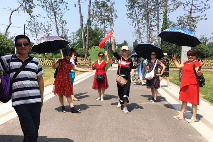 港青旅港澳游报团攻略,韩城青岛旅游团推荐