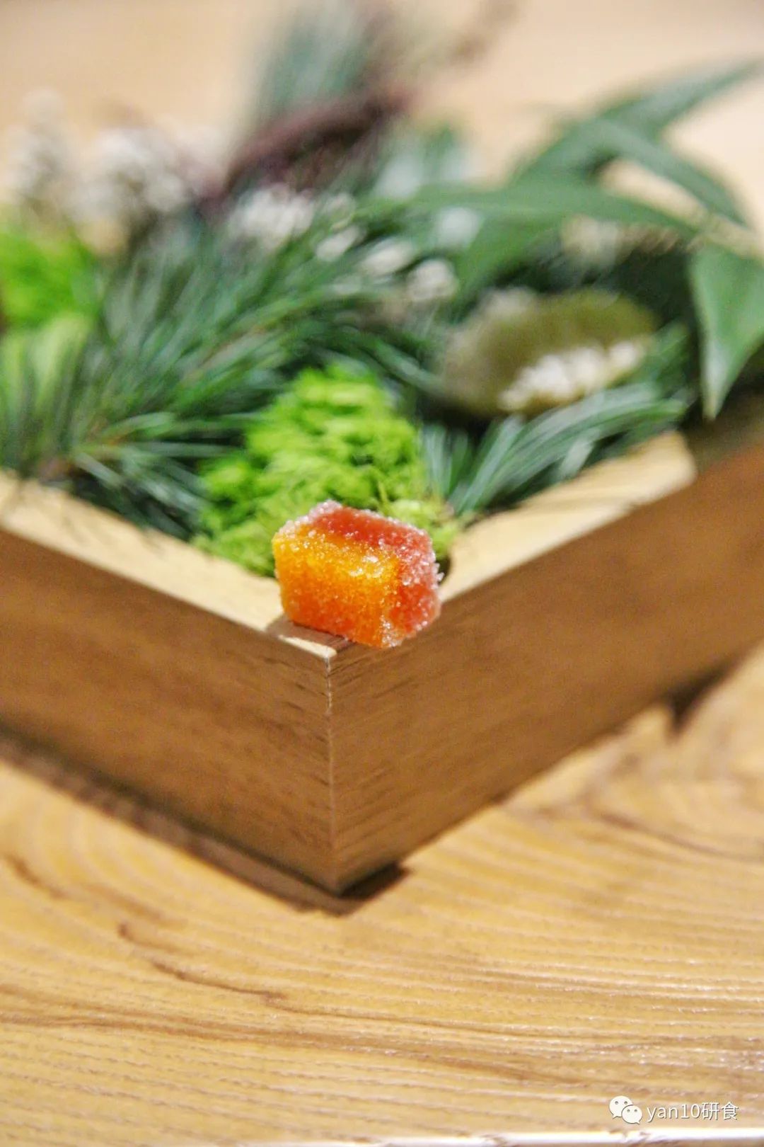 趁没红前，先试为敬，北欧风，法餐调，本土食材演绎的新派中餐