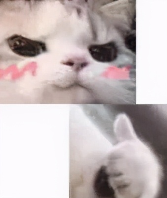 气垫推荐油皮可当底妆,快速出门底妆产品推荐