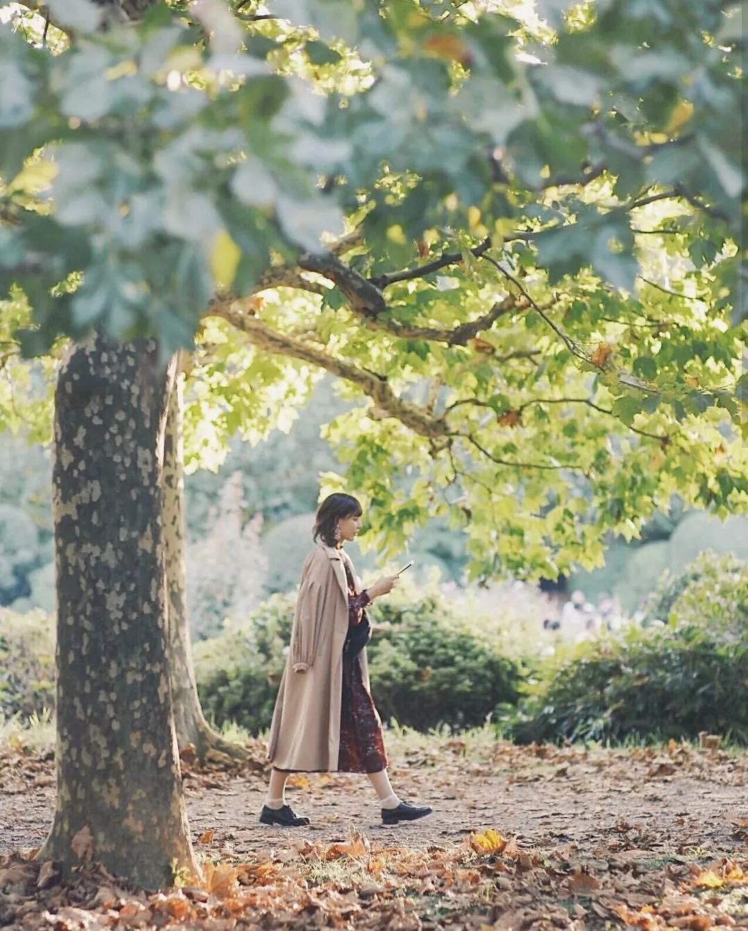 十二种镜头拍照方式,害怕镜头是什么症状