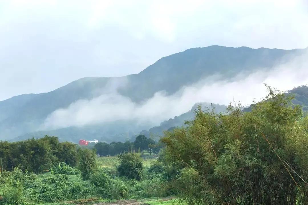 惠东忘山居民宿,惠东特色亲子民宿有哪些