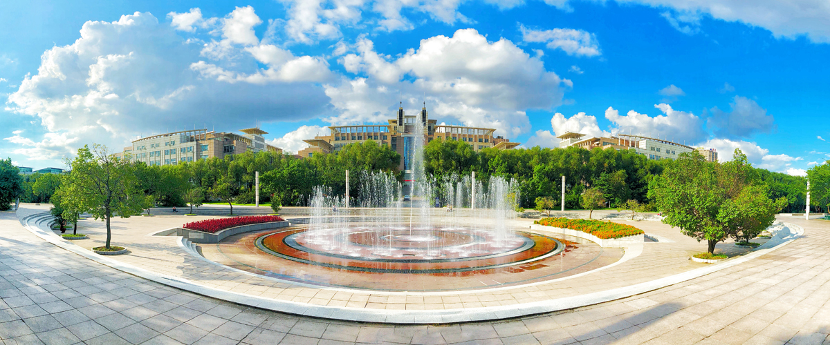 吉林大学化学学院多少名院士,吉林大学化学院士