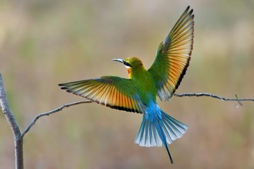 361度spire3评测,361度spire3