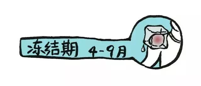 骨科医生在练肩部健身操,肩部康复健身操