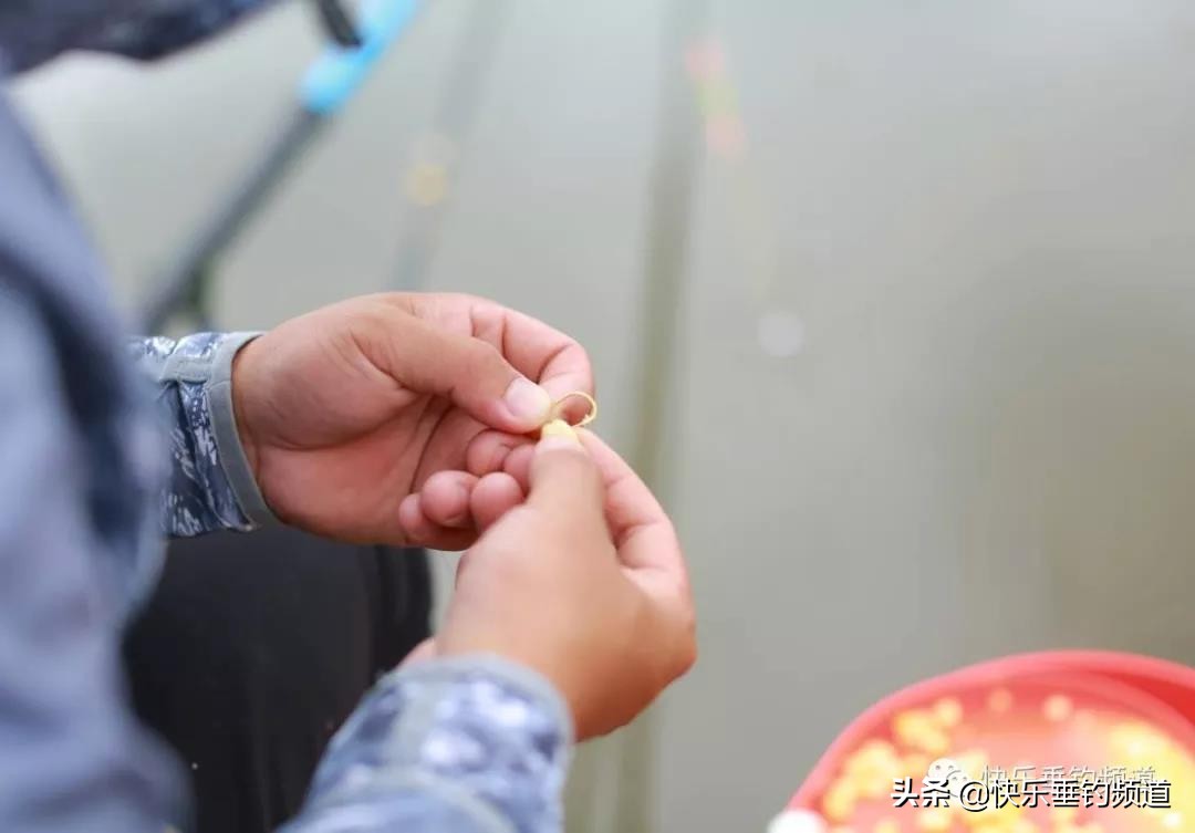 浮钓鲢鳙挂饵怎么调漂,野钓带饵调漂实用最佳方法