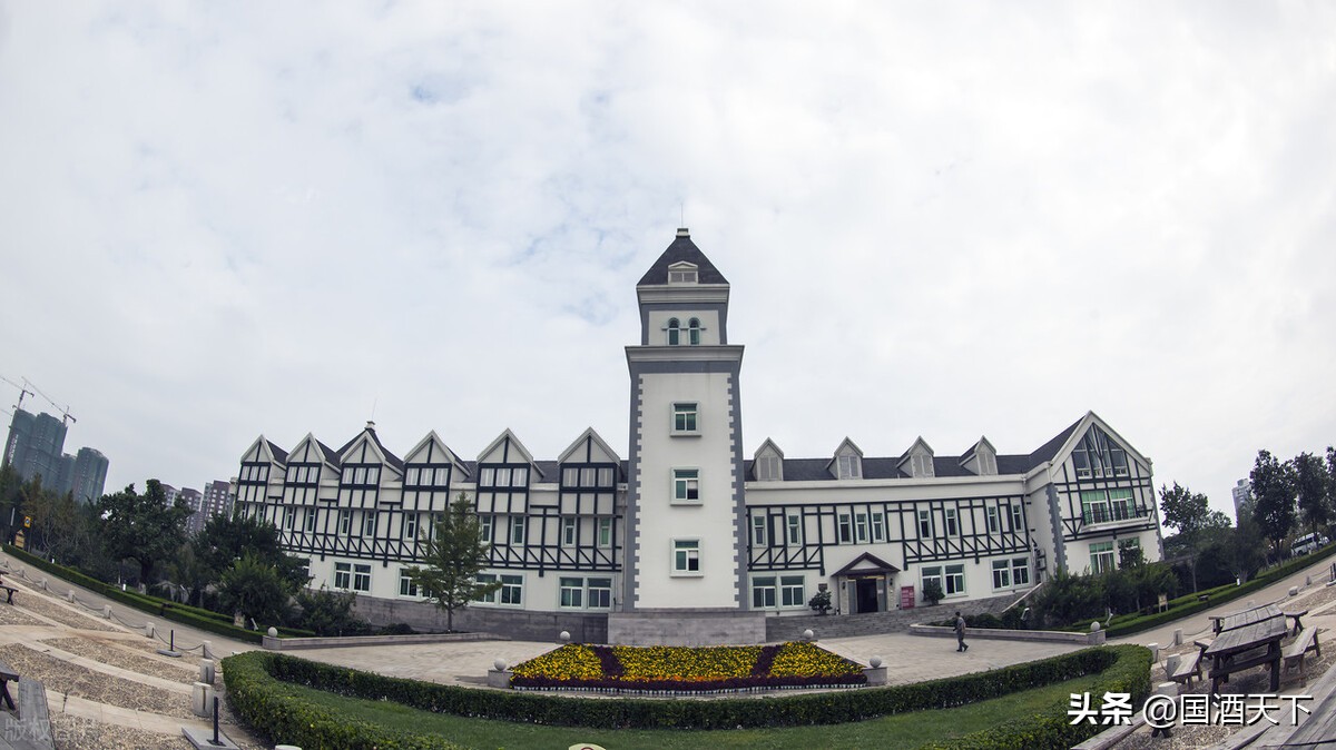 国内葡萄酒品牌前十名张裕解百纳,张裕解百纳红酒是哪里的