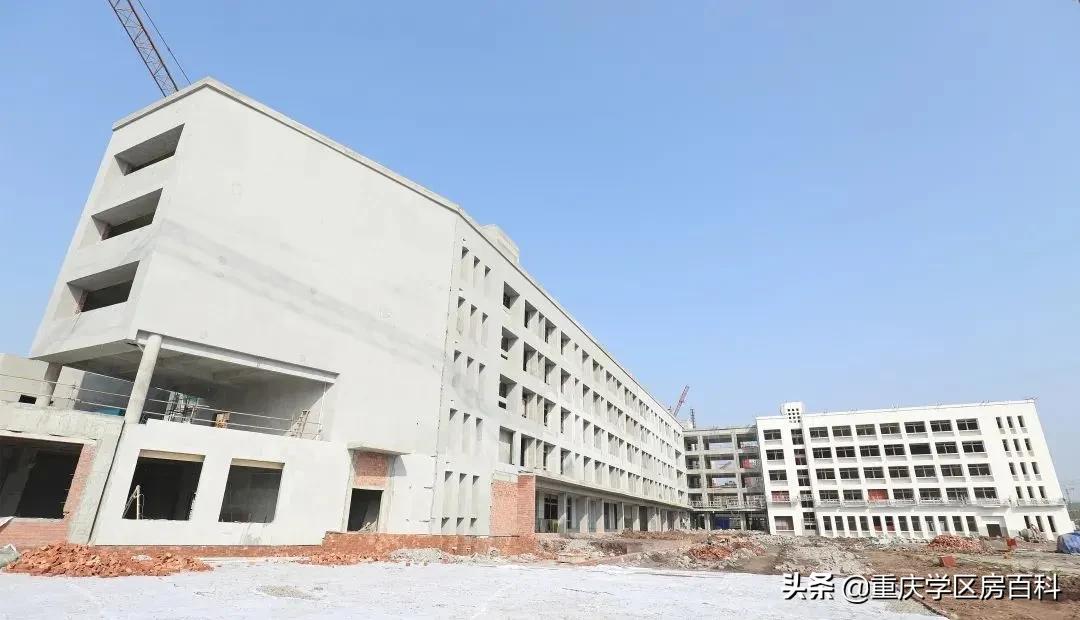 沙小、树人、七中！来看沙坪坝如何布局教育资源