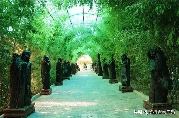 龙脉温泉特惠票,龙脉熔岩温泉度假村门票多少钱