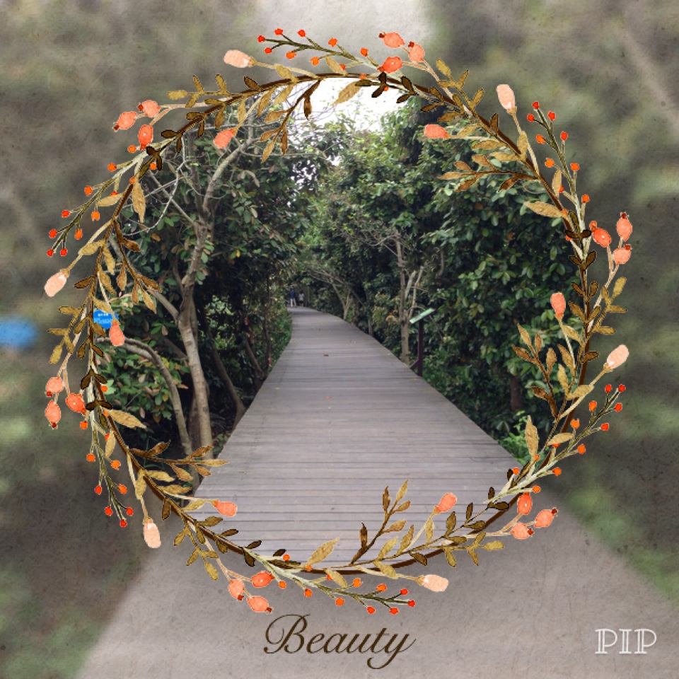 你眼中的珠海是什么样,外国眼中的珠海