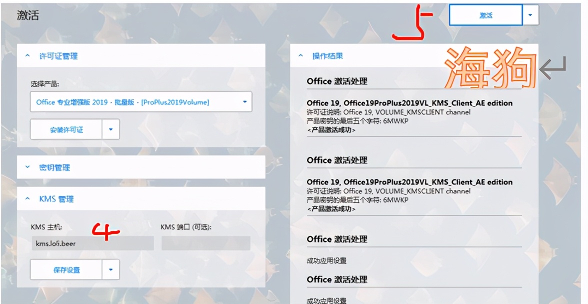 office3652019选择哪个版本,office2019怎么激活office365