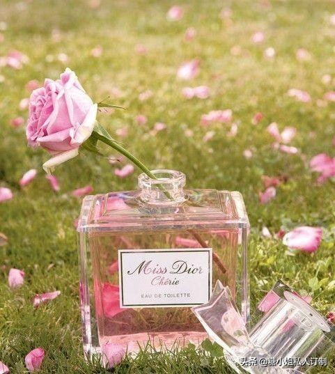范思哲香水和古驰香水哪个好,古驰香水和迪奥香水哪个好