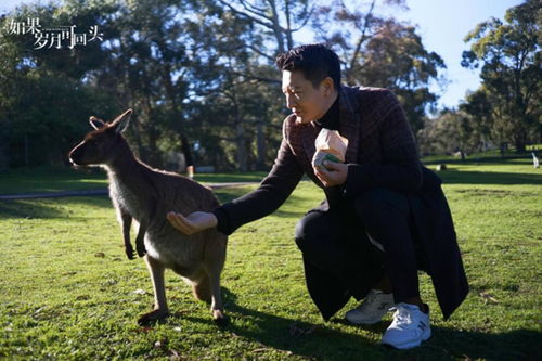 我终于明白聚集了演技派的《如果岁月可回头》问题出在哪里了？