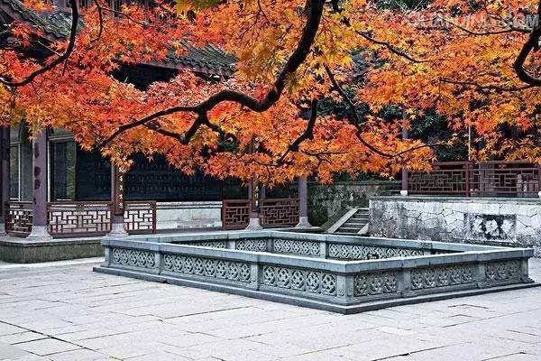 杭州旅游攻略一天游西湖,杭州旅游西湖自由行攻略