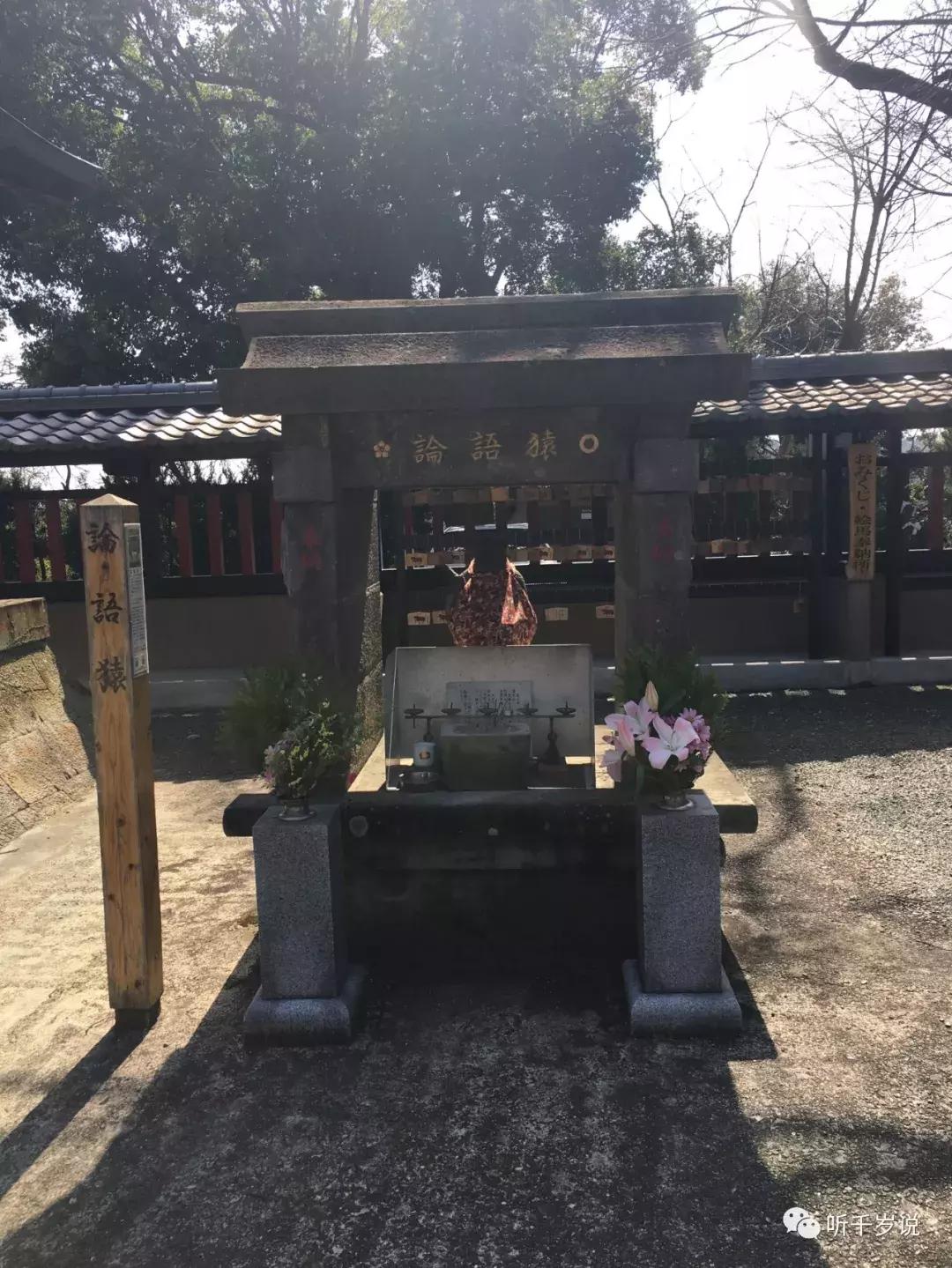 日本东京熊本熊,日本熊本游