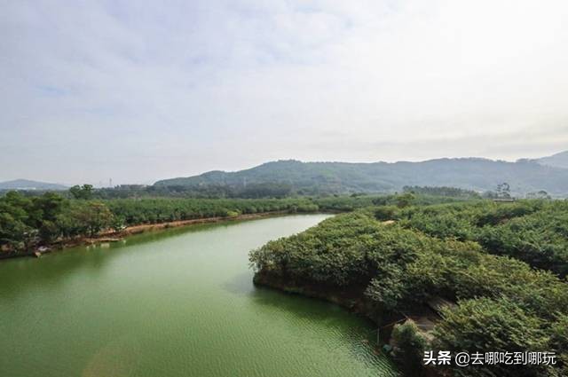 58抢花都志惠农场+玻璃桥套票惊险横跨268米更有环球飞车项目