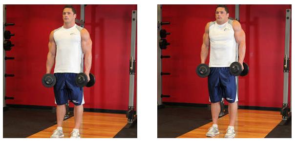 壶铃哑铃腿部训练动作教程,哑铃肩部训练最有效的动作