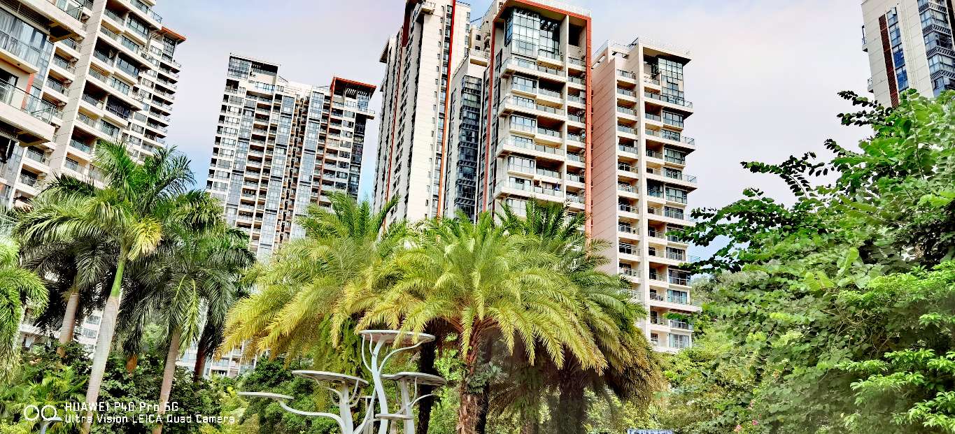 三亚地标性建筑美丽之冠大松树,三亚美丽之冠