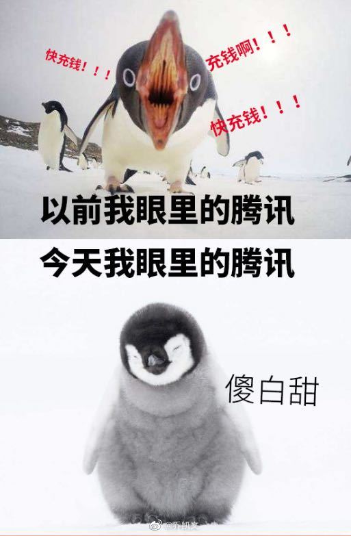 真以为腾讯找错了“老千妈”？看完网友说：这瓜竟然才吃到第一层