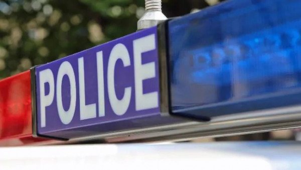 澳洲华人团伙偷奶粉,偷9罐奶粉判几年