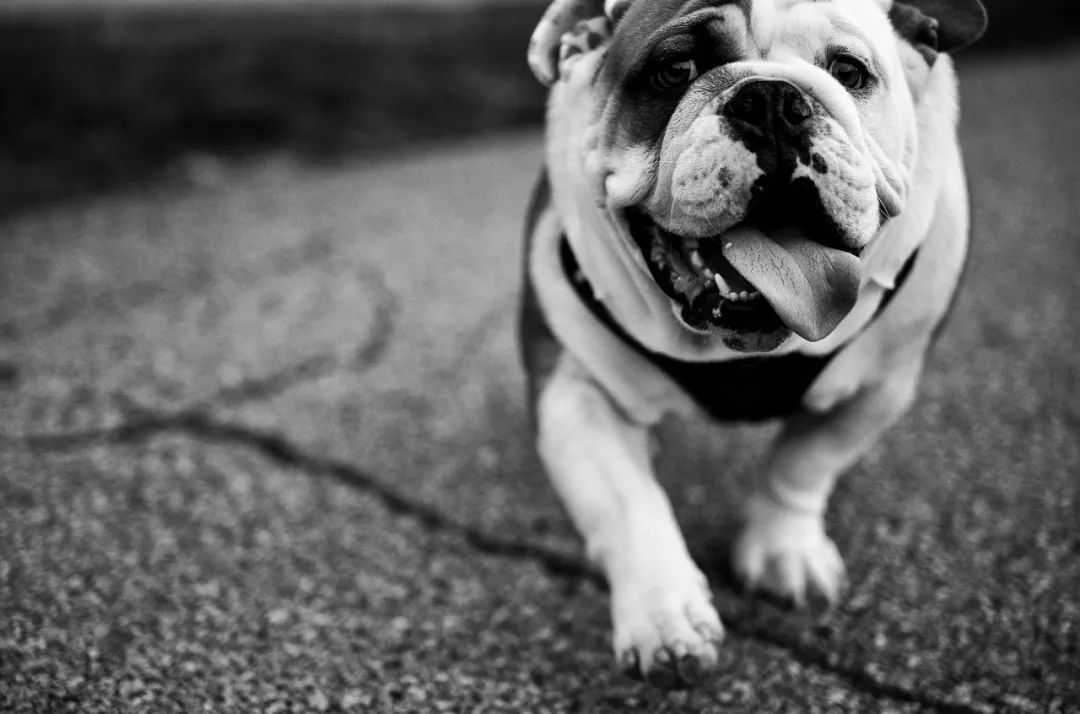 为什么黑白摄影比较经典,大师级的黑白摄影作品