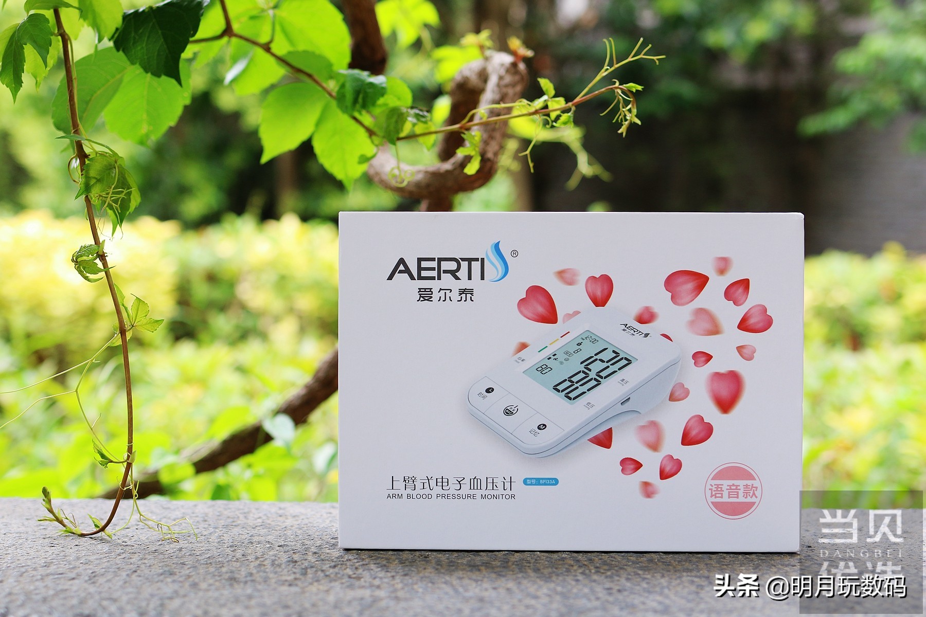 心电血压实时监护仪,随时测血压特别方便