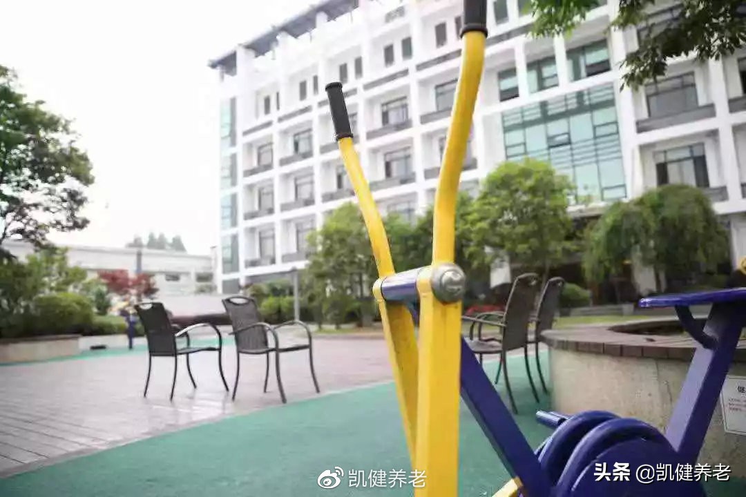 莫道桑榆晚为霞尚满天哪一年写的,莫道桑榆晚为霞尚满天是什么意思