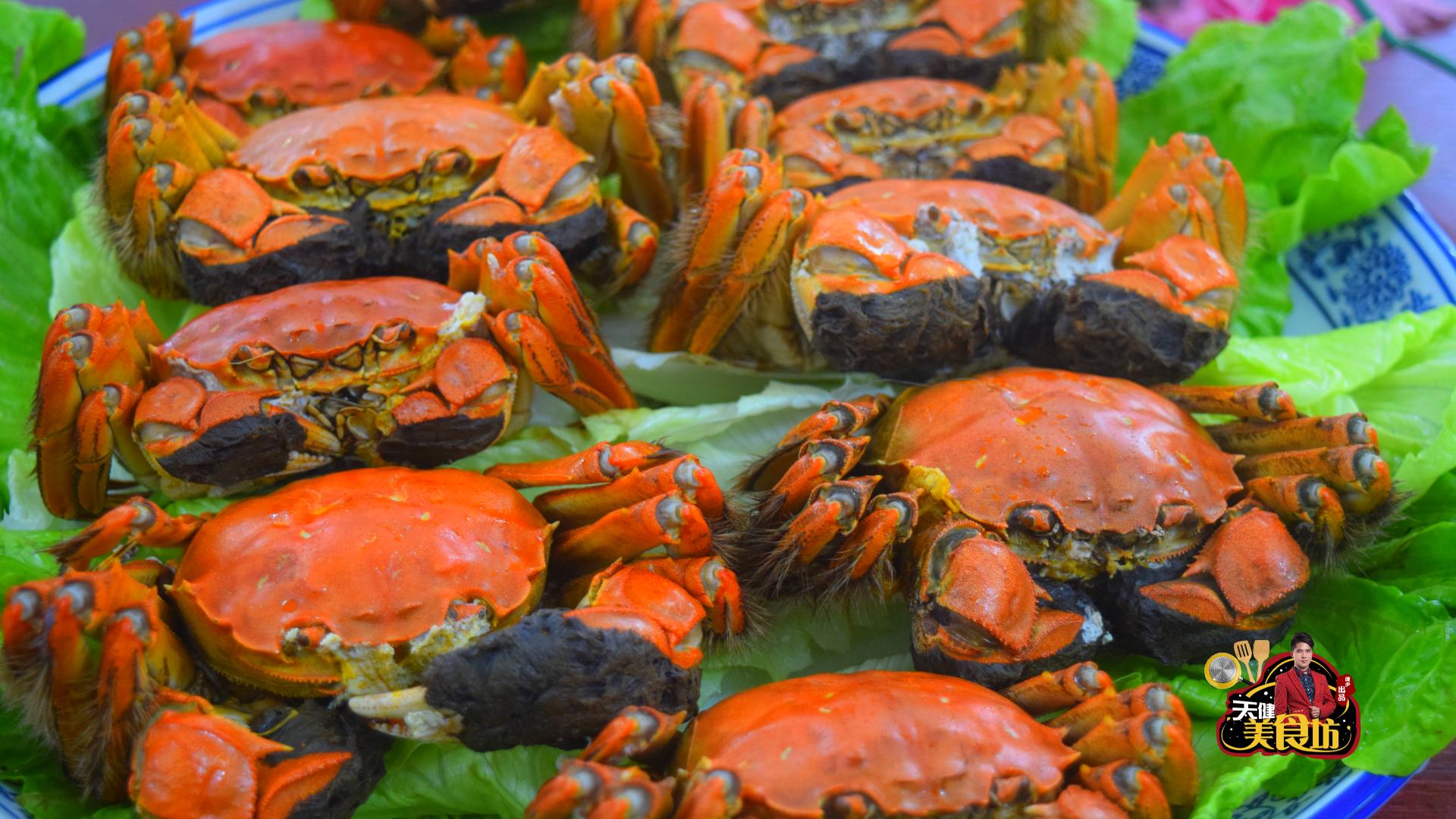 团购1000只大闸蟹试吃,试吃阳澄湖大闸蟹视频