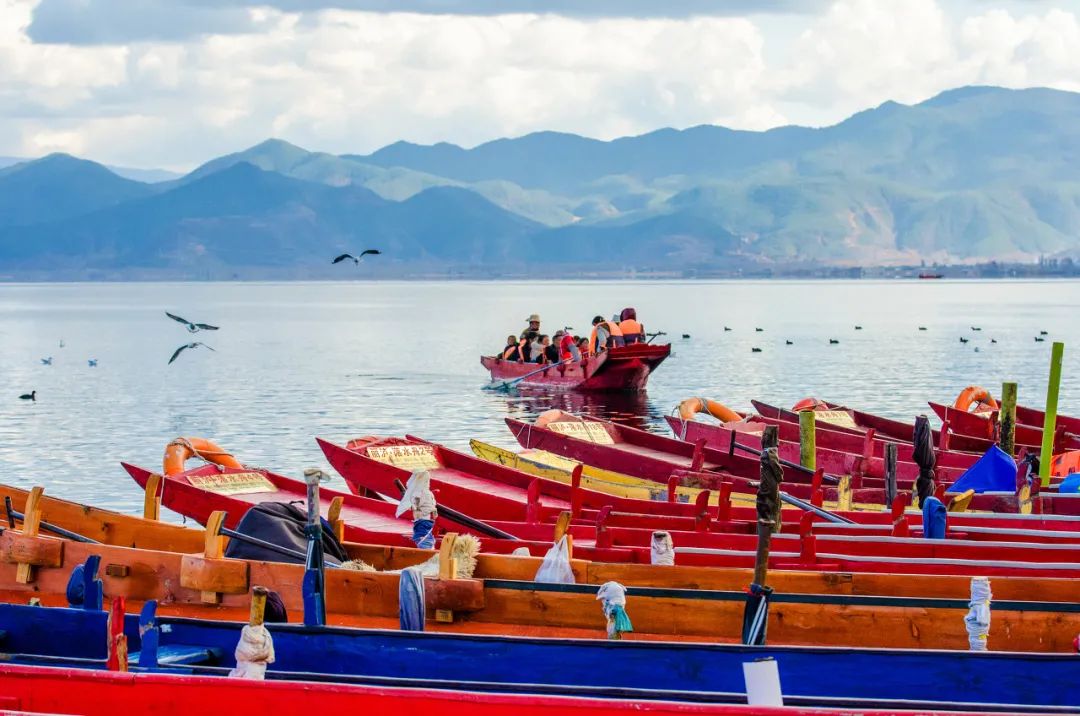 12月想要什么,12月的冬日暖阳岁月如此静好