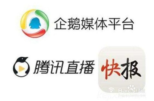 新手做自媒体平台注册的先后顺序,自媒体和自媒体平台