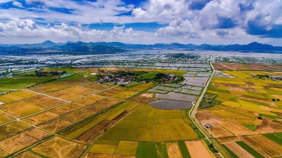 他们利用天时、地利等有利条件，走上了致富的道路