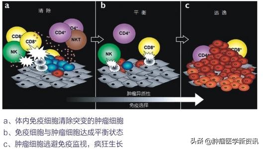 肺癌早期的6个信号中医治癌,肺癌正确的抗癌方法