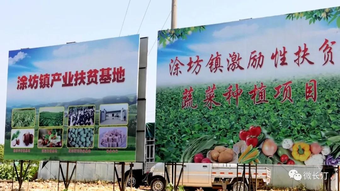 有特色接地气致富快长汀县涂坊镇激励性产业扶贫成效明显