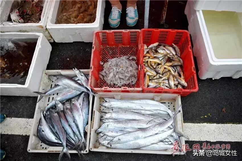 靠海吃海有什么好吃的,靠海吃海各类海鲜