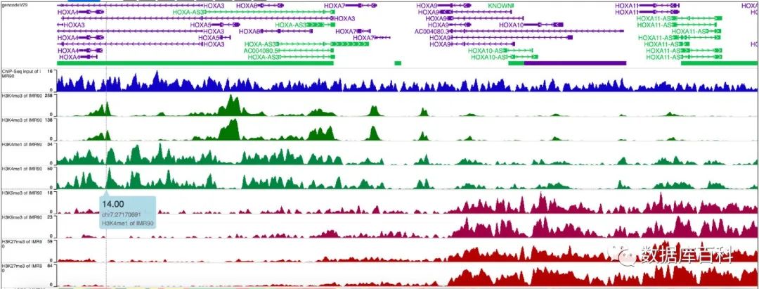 高通量测序技术怎么使用,高通量测序数据分析费用