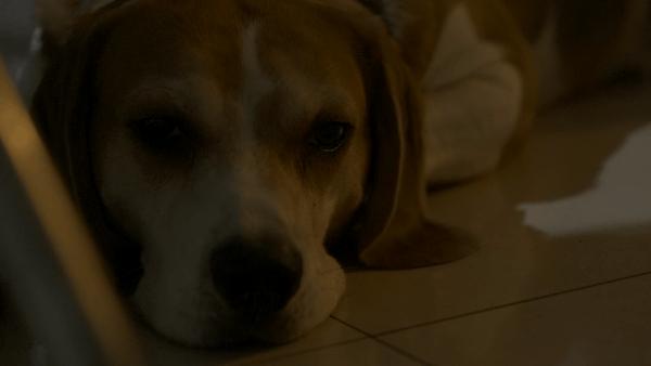 松下全画幅微单s5对焦,松下s5全画幅微单变焦镜头推荐