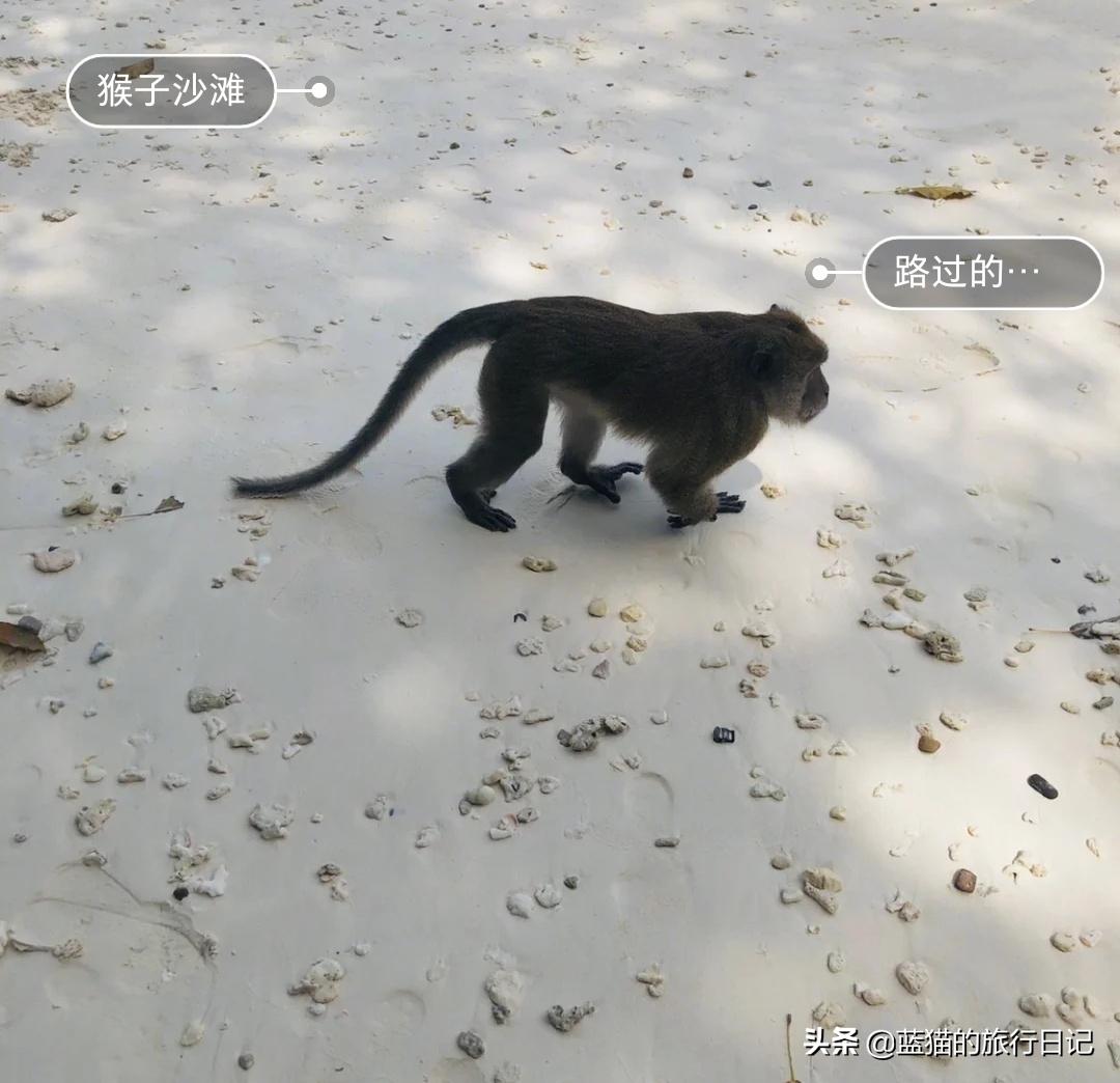 泰国普吉岛甲米旅游,泰国甲米明天是否可以出海