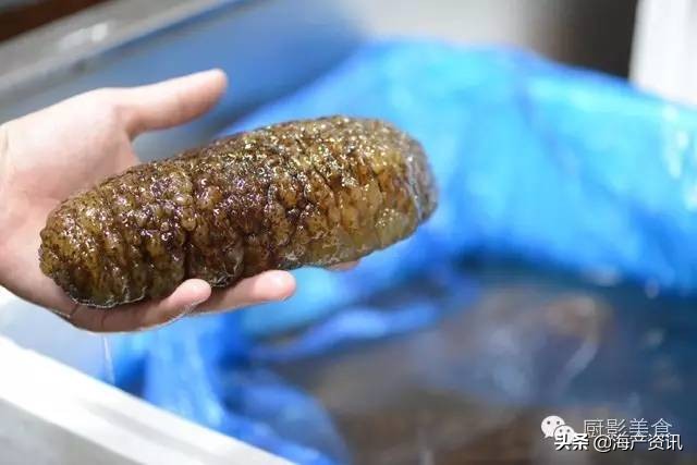 全世界顶级的4种海鲜,世界十大名贵海鲜