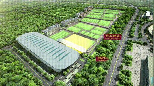 真金白银20亿！大连携手万达，要为重振中国足球干件大事！