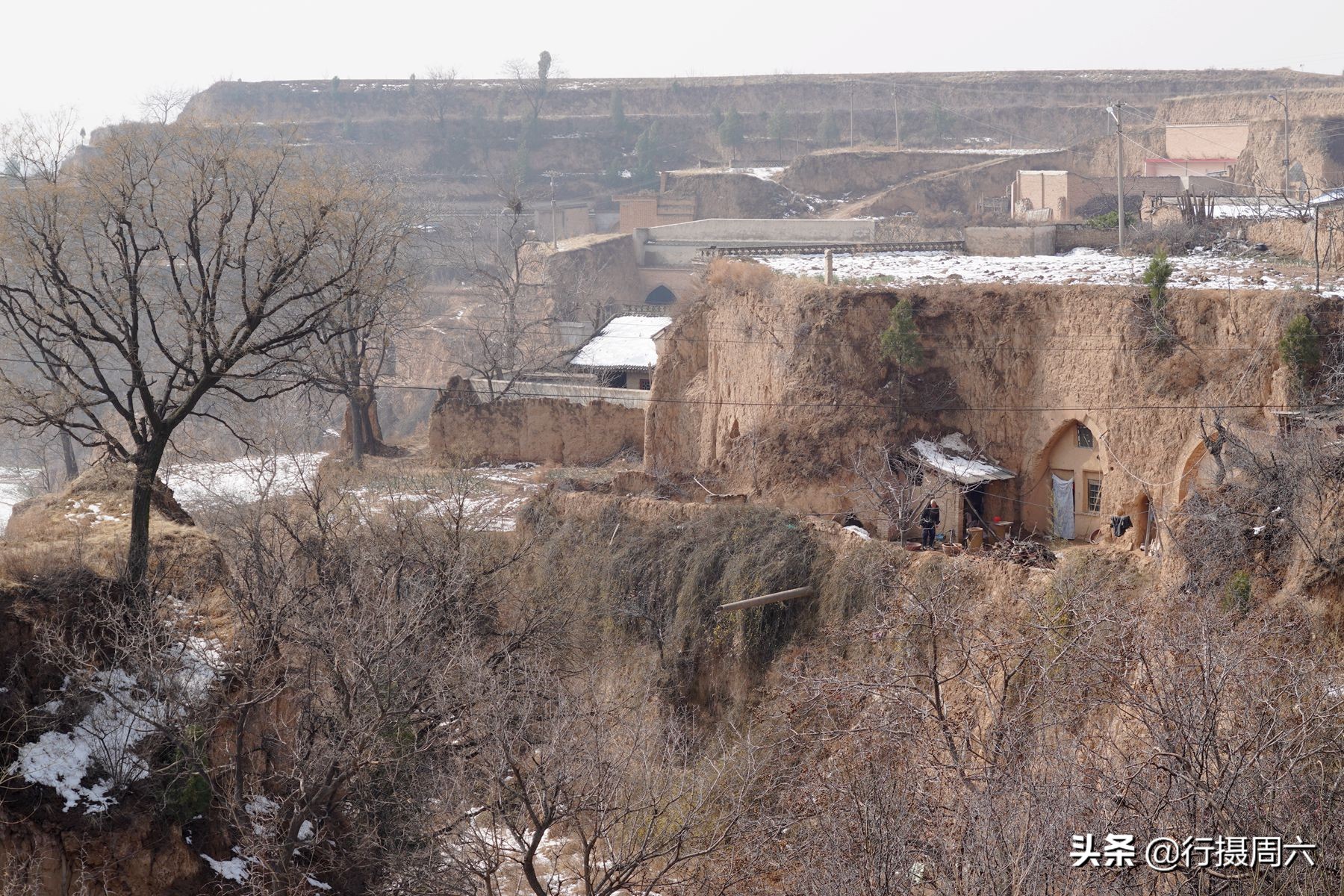 农村8旬大爷养猪,80岁大爷养600斤大野猪当坐骑