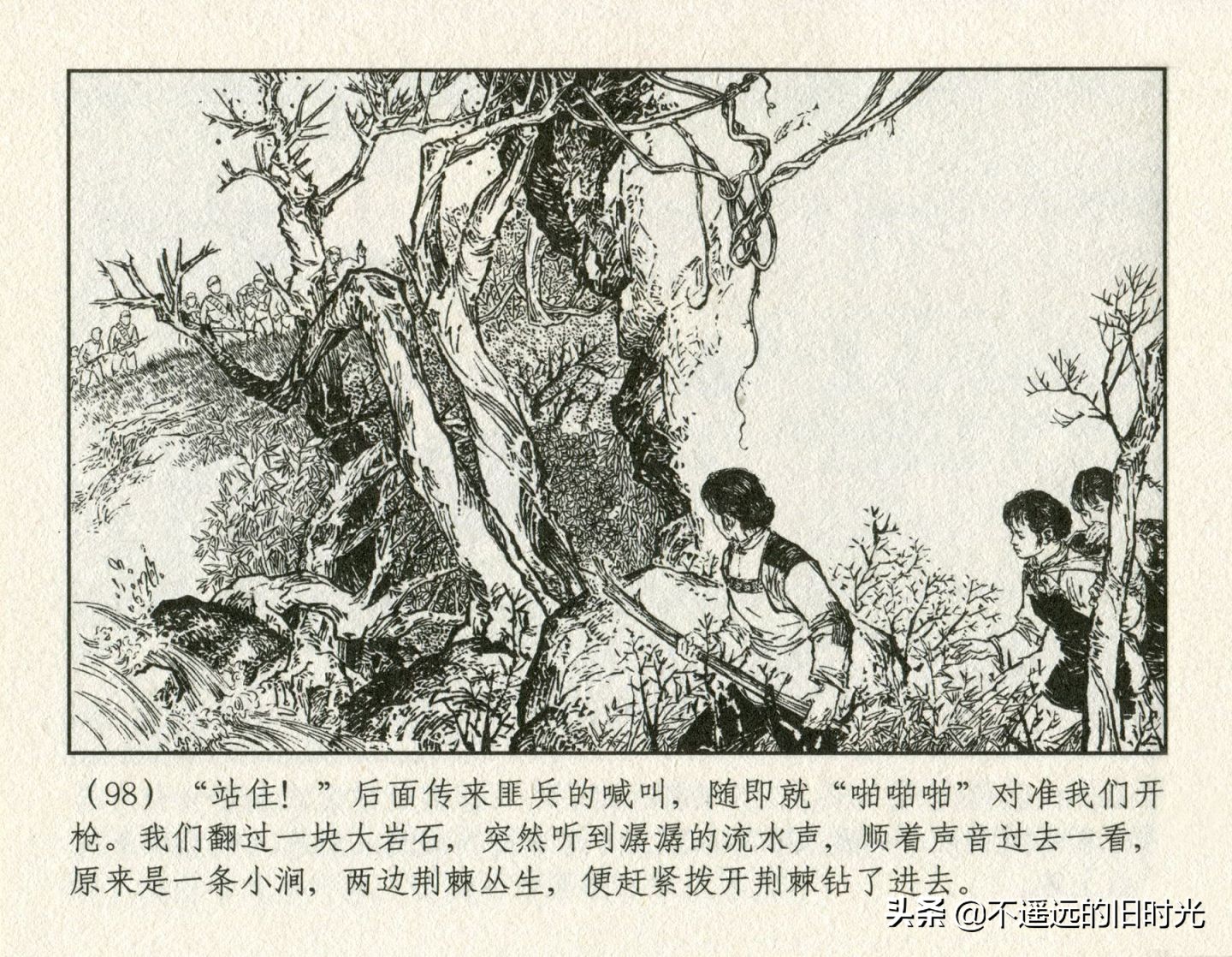 朝阳花-上海人民美术出版社1981初版2016再版陆成法陆小弟绘