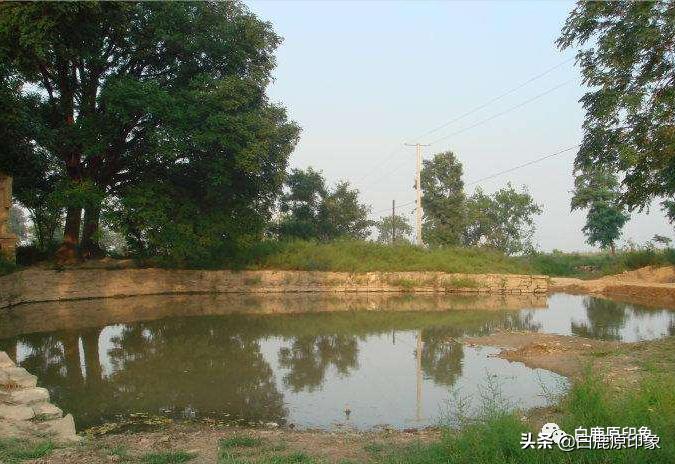 白鹿原中的风土人情,白鹿原上的生活记忆