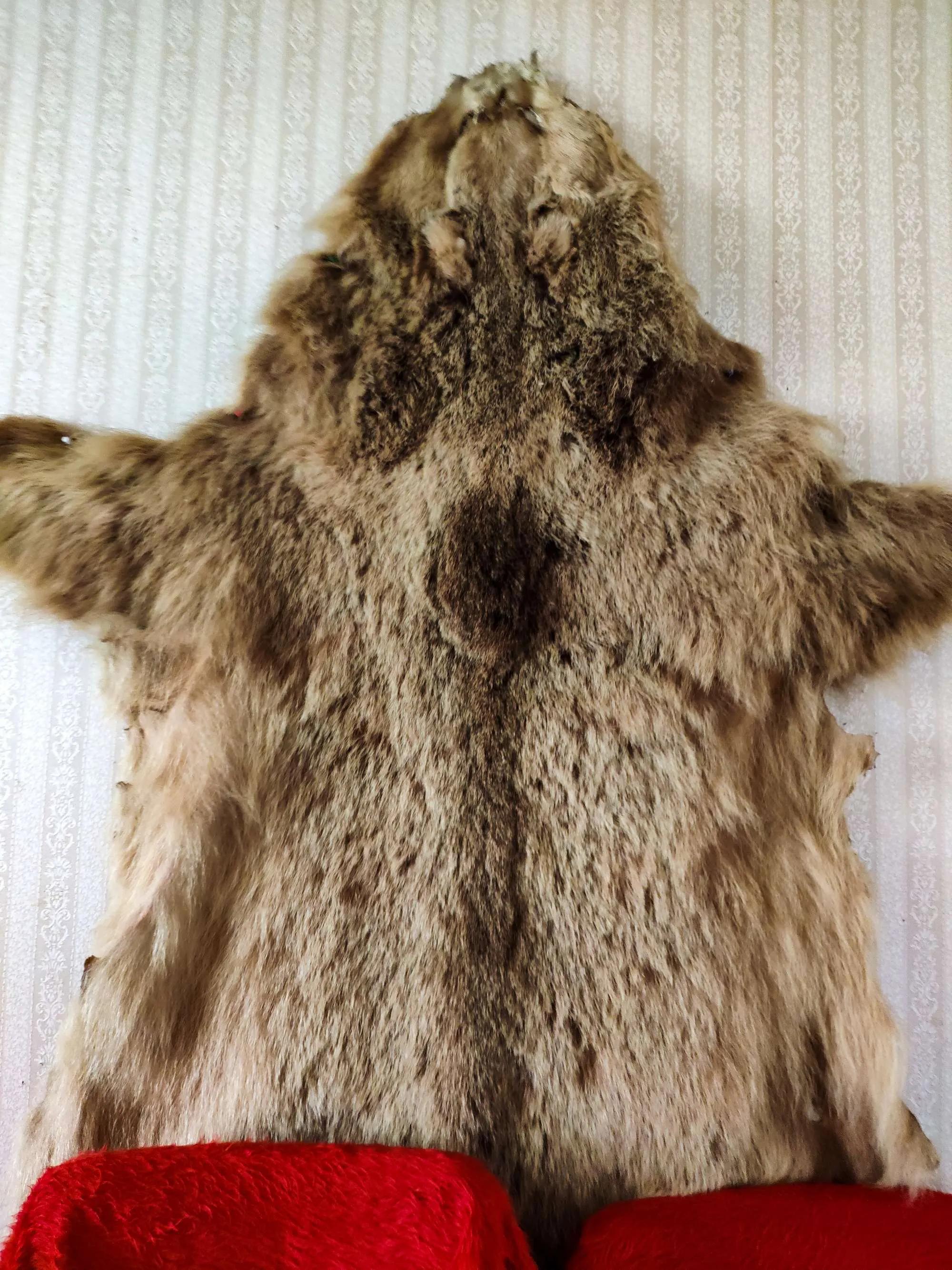 自驾格鲁吉亚高加索山区,卡兹别克山旅游攻略