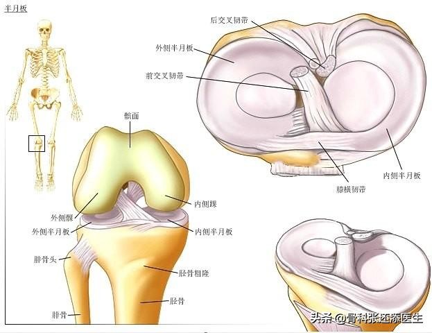 膝关节咔咔响的治疗方法,走路膝关节咔咔咔响是怎样的